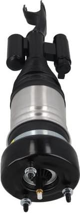 Air Suspension Strut 2070064 - image 3