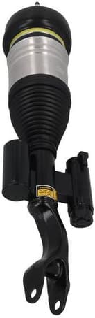 Air Suspension Strut 2070064 - image 6