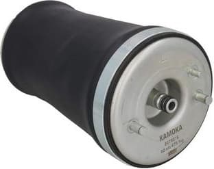 Air Spring, suspension 2079076