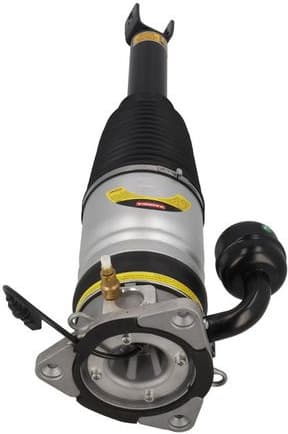 Air Suspension Strut 2070077 - image 2