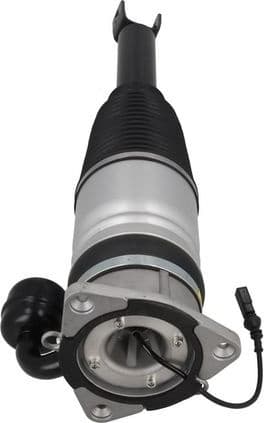 Air Suspension Strut 2070077 - image 3