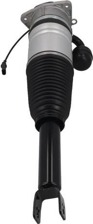 Air Suspension Strut 2070077 - image 4