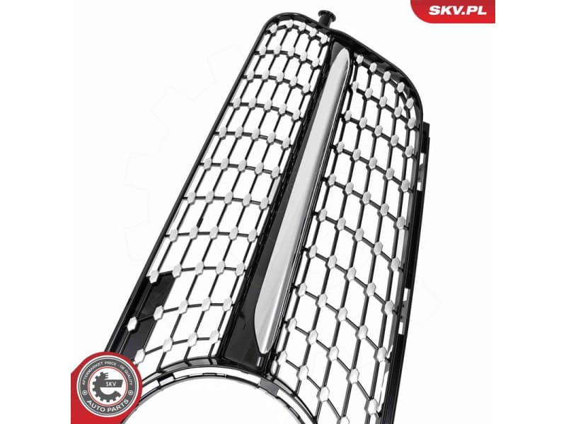Radiator Grille 66SKV517 - image 5