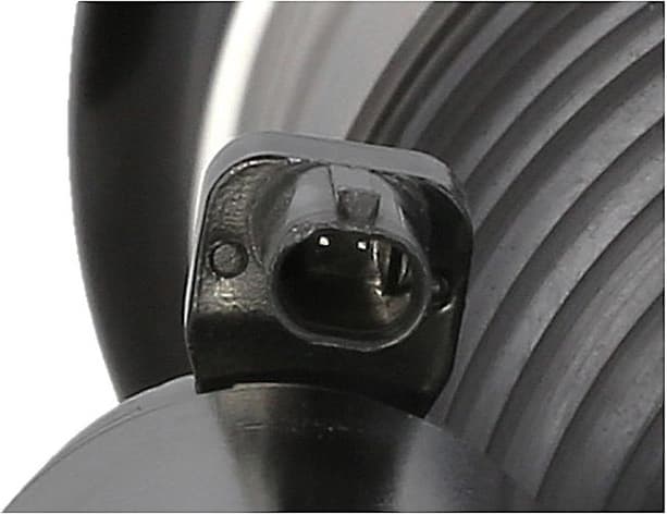 Air Suspension Strut 2070060