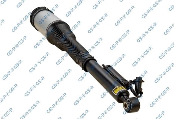 Air Suspension Strut 30900360
