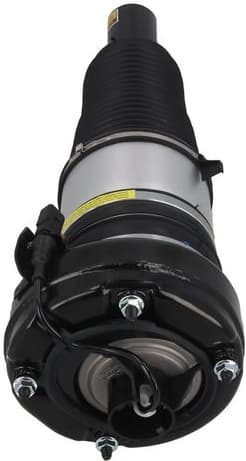 Air Suspension Strut 2070086 - image 3