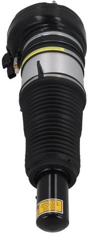 Air Suspension Strut 2070086 - image 4