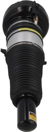 Air Suspension Strut 2070086 - image 5