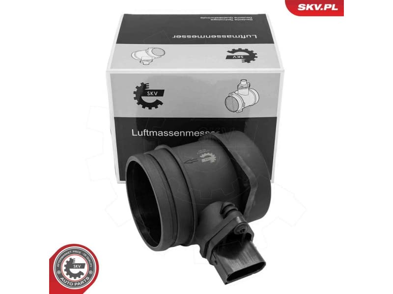 Mass Air Flow Sensor 07SKV313
