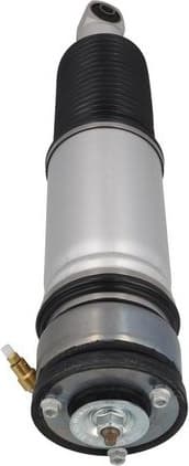 Air Suspension Strut 2070101