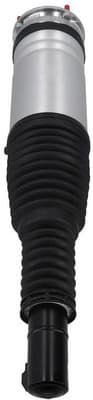 Air Suspension Strut 2070035 - image 3