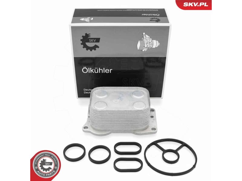 Oil Cooler, engine oil 31SKV382