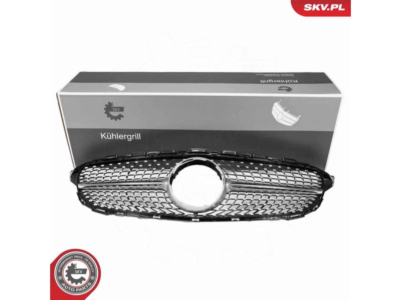 Radiator Grille 66SKV522