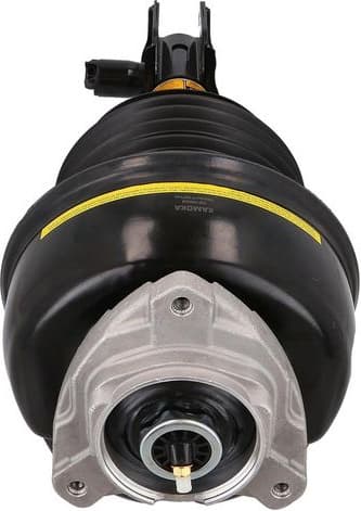 Air Suspension Strut 2070039 - image 2