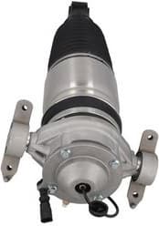 Air Suspension Strut 2070032 - image 2