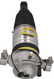 Air Suspension Strut 2070032 - image 3