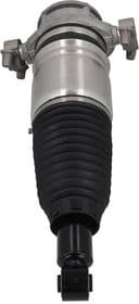 Air Suspension Strut 2070032 - image 4