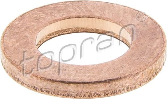 Seal Ring, injector 120 349