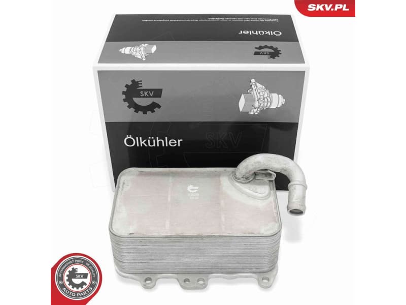 Oil Cooler, engine oil 31SKV359