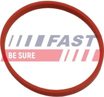 Gasket, EGR valve pipe FT49868