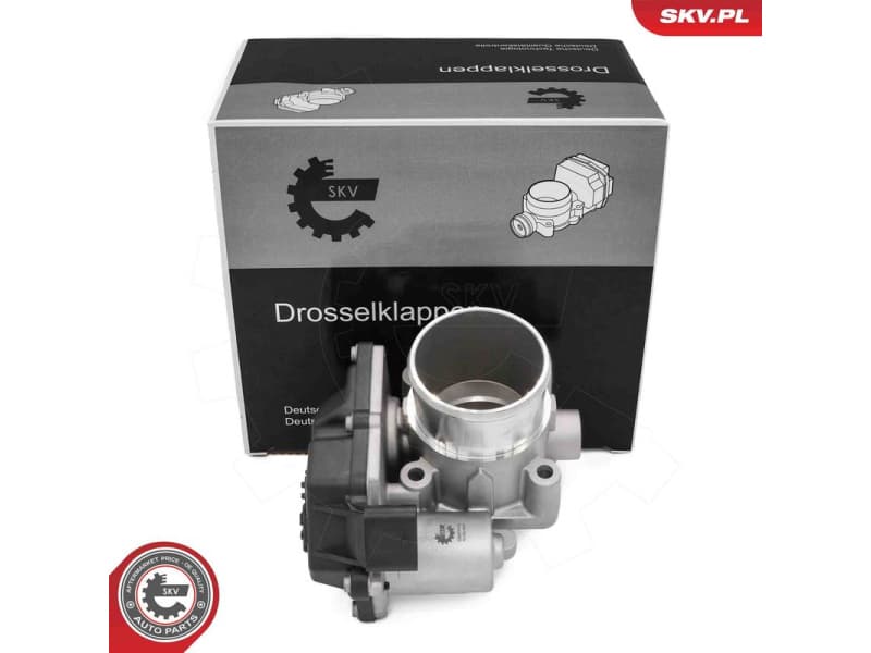 Throttle Body 12SKV139
