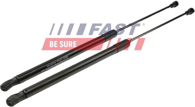 Hose, fuel overflow FT00226