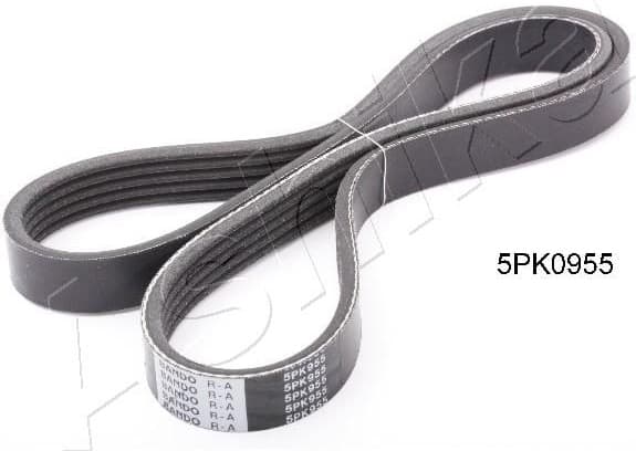 V-ribbed Belt 112-5PK955
