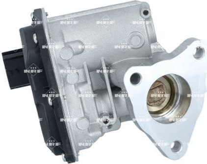 EGR Valve 48700