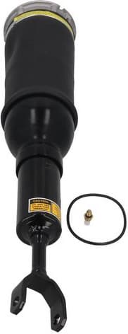 Air Suspension Strut 2070056