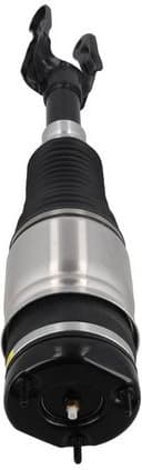 Air Suspension Strut 2070056 - image 2