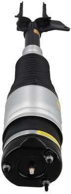 Air Suspension Strut 2070047 - image 2