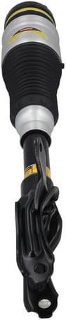Air Suspension Strut 2070047 - image 3