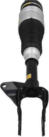 Air Suspension Strut 2070047 - image 4