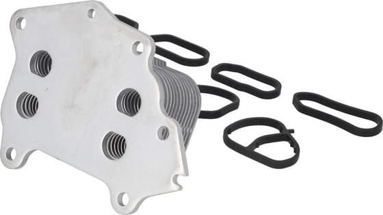 Expansion Tank, coolant 7720158 - image 4