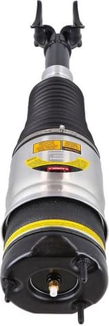Air Suspension Strut 2070055