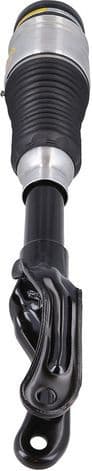 Air Suspension Strut 2070055 - image 2