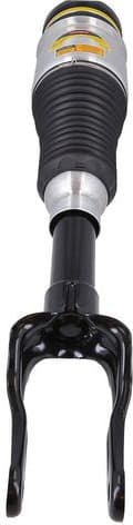 Air Suspension Strut 2070055 - image 3