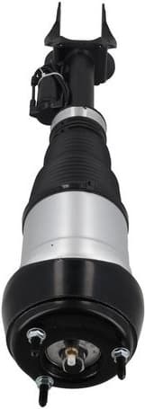 Air Suspension Strut 2070117 - image 2