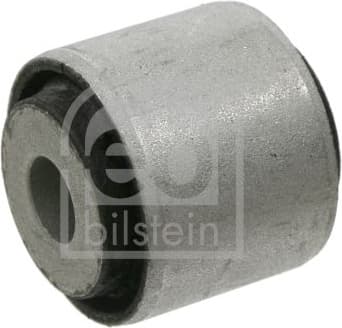 Mounting, control/trailing arm 21968