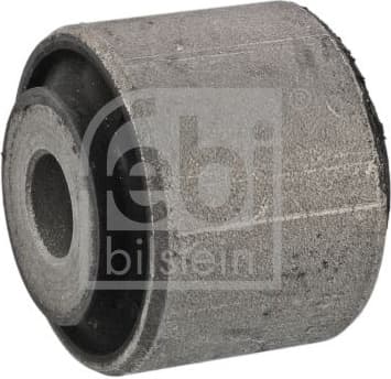 Mounting, control/trailing arm 34501