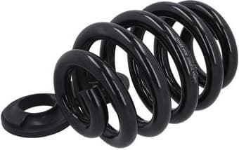 Suspension Spring 2120662 - image 2