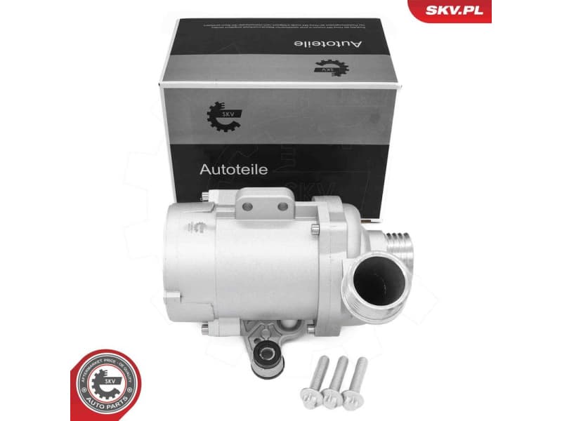 Water Pump, engine cooling 22SKV071