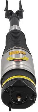 Air Suspension Strut 2070084