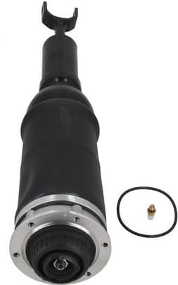 Air Suspension Strut 2070084 - image 2