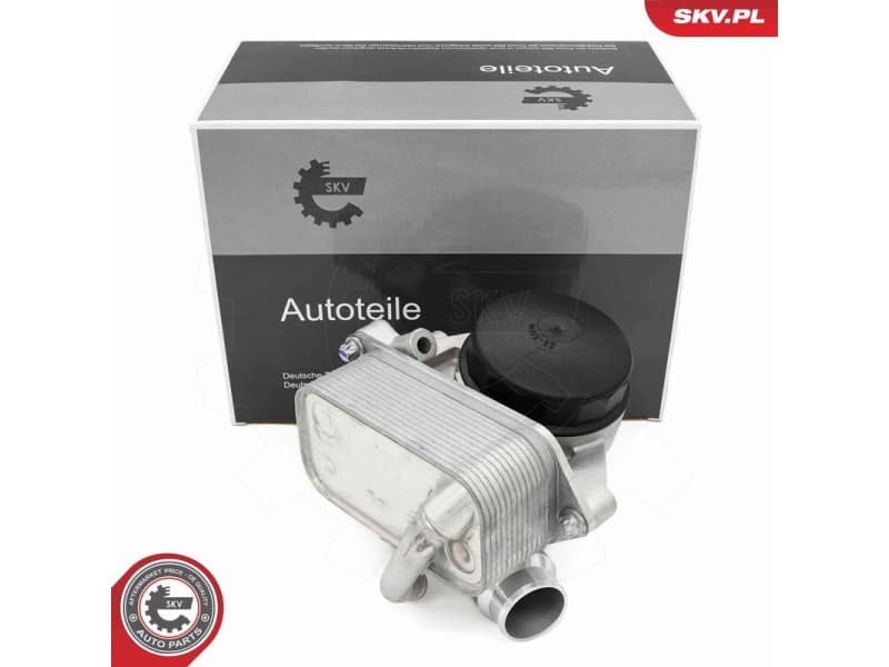 Oil Cooler, engine oil 31SKV442