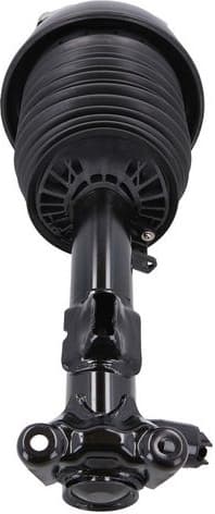Air Suspension Strut 2070043