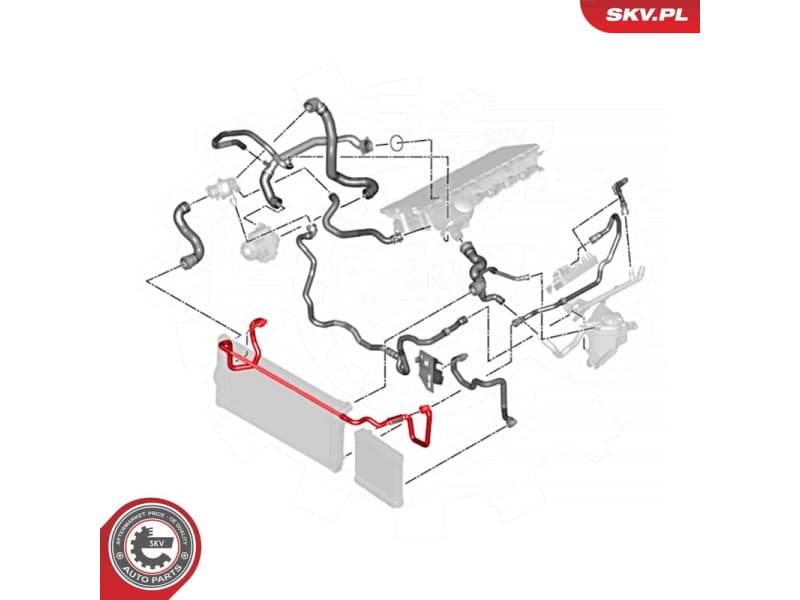 Radiator Hose 54SKV769 - image 5