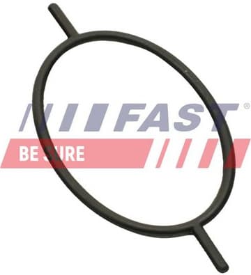 Shaft Seal, differential FT49863 - image 2