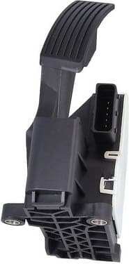 Accelerator Pedal 4200005