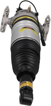 Air Suspension Strut 2070031
